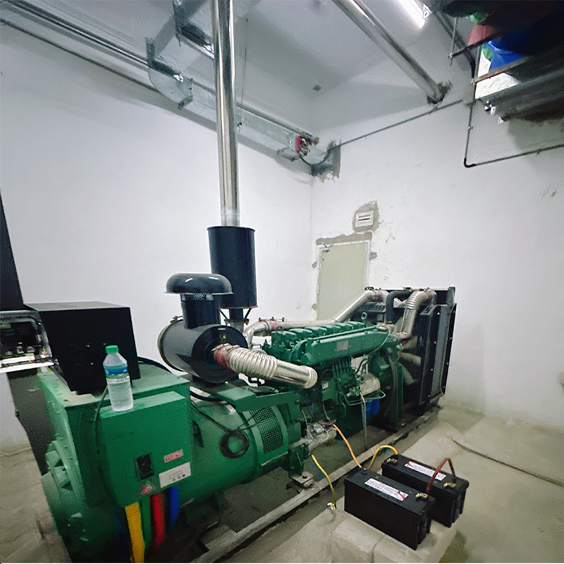 赣州某小区一台斯太尔柴油发电机组发电机维修案例